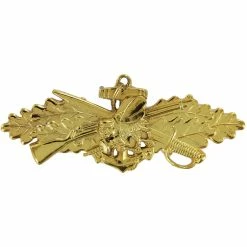 Outlet 😀 Vanguard NAVY BADGE SEABEE COMBAT WARFARE SPECIALIST OFFICER 🔥